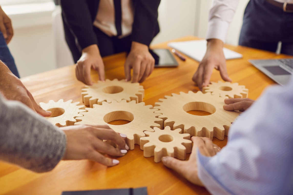 A group arranges gears